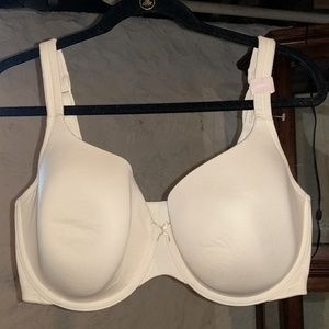 Cacique Intimates & Sleepwear - Cacique Cotton Lightly Lined T-Shirt Bra Cacique Intimates & Sleepwear - Cacique Cotton Lightly Lined T-Shirt Bra